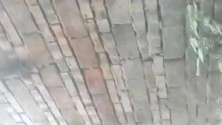 马戏团即墨宝龙公寓