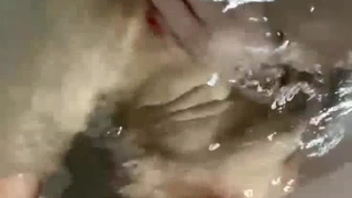SEA绿帽扶着老婆屁股让单男日
